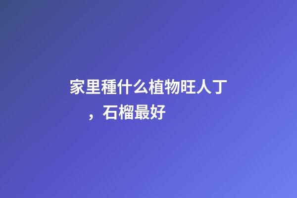 家里種什么植物旺人丁，石榴最好